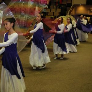 Ministerio de Danza